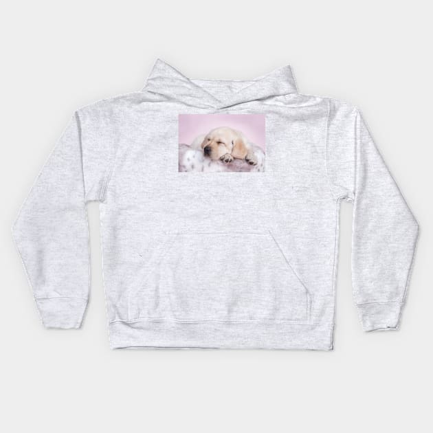 Sleeping labrador Kids Hoodie by PetsArt